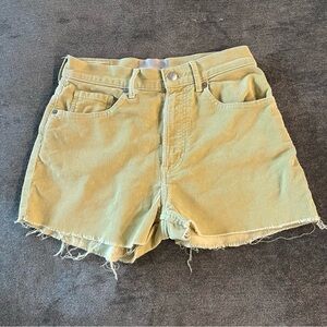 Everlane Gold Corduroy Baby Cord Cheeky Cut Off High Waisted Shorts 27
